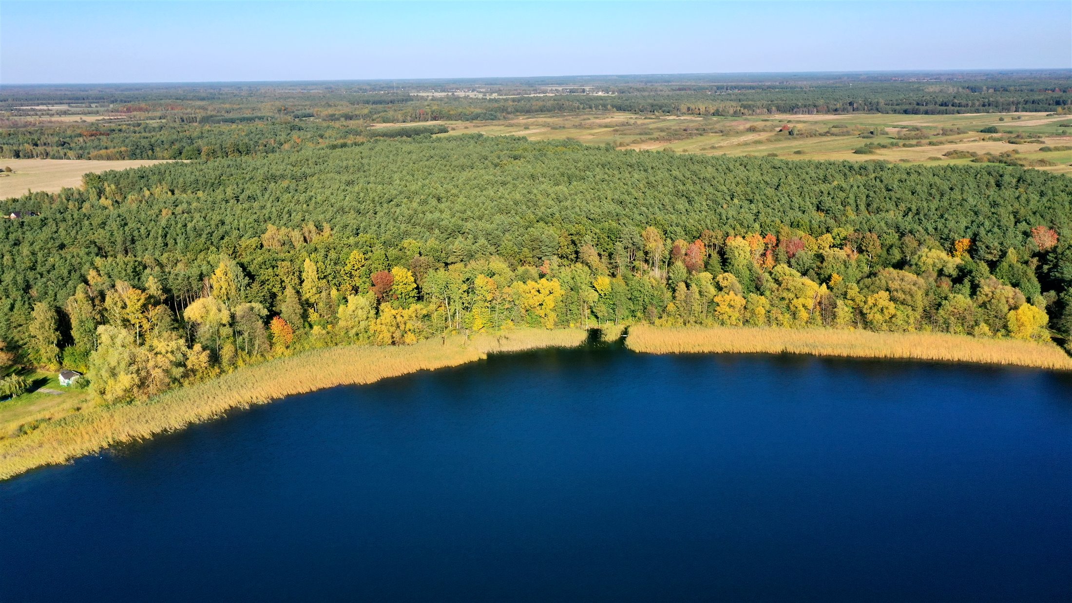 Jezioro pośród pomorskich lasów z lotu ptaka